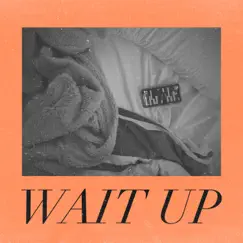 Wait Up (feat. Seigfried) Song Lyrics