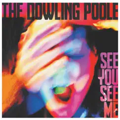 See You, See Me by The Dowling Poole album reviews, ratings, credits