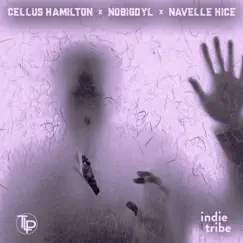 Public Privacy (feat. nobigdyl. & Navelle Hice) - Single by Cellus Hamilton album reviews, ratings, credits