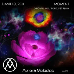 Moment - Single by David Surok album reviews, ratings, credits