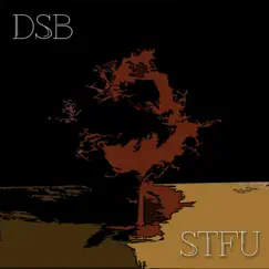 Stfu - Single by DSB album reviews, ratings, credits