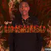 Umshiso - Single album lyrics, reviews, download