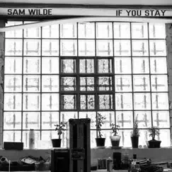 If You Stay - Single by Sam Wilde album reviews, ratings, credits