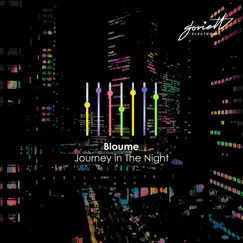 Journey in the Night - EP by Bloume album reviews, ratings, credits