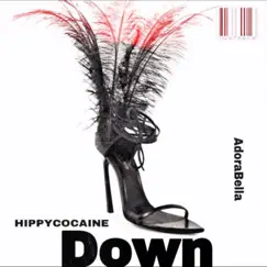 Down (feat. Hippy Cocaine) Song Lyrics