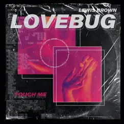 Lovebug Song Lyrics