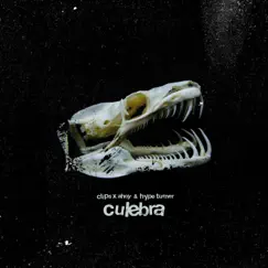 Culebra - Single by Clips, Ahoy & Hype Turner album reviews, ratings, credits