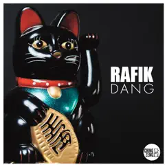 Dang - Single by Rafik album reviews, ratings, credits