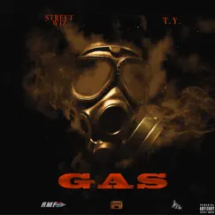Gas (feat. T.Y.) - Single by Street Wiz album reviews, ratings, credits