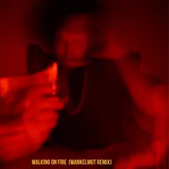 Walking on Fire (Wankelmut Remix) - Single by Rilan & The Bombardiers & Wankelmut album reviews, ratings, credits
