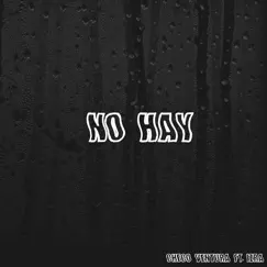 No Hay (feat. Izra) - Single by Checo Ventura album reviews, ratings, credits
