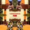 Conscience (feat. Vieux Farka Touré & Amy D) - Single album lyrics, reviews, download