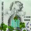 Mend (feat. Taylor Hawkins & Etty Lau Farrell) [Acoustic] - Single album lyrics, reviews, download