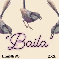 Baila (feat. 2xx) - Single by El Llanero album reviews, ratings, credits