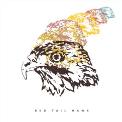 Bilderberg - Single by Red Tail Hawk album reviews, ratings, credits