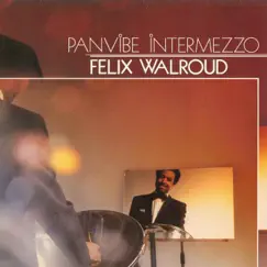 Panvibe Intermezzo by Felix Walroud album reviews, ratings, credits