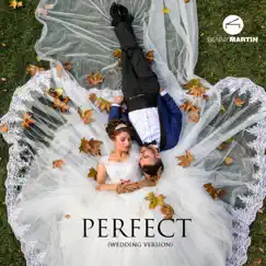 Perfect (Wedding Version) - Single by Benny Martin album reviews, ratings, credits