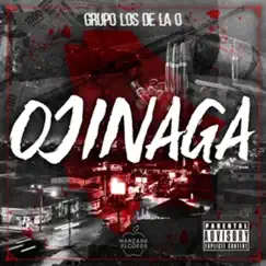 Ojinaga - Single by Grupo Los de la O album reviews, ratings, credits