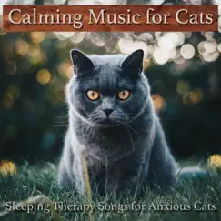 Calming Music for Cats: Sleeping Therapy Songs for Anxious Cats by RelaxMyCat, Cat Music Dreams & Cat Music Therapy album reviews, ratings, credits