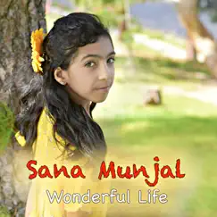 Wonderful Life - Single by Sana Munjal album reviews, ratings, credits