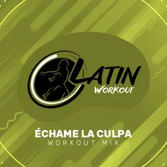 Echame la Culpa (Workout Mix) [feat. Yero Company] Song Lyrics