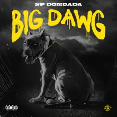 Big Dawg - Single by Sp Dondada album reviews, ratings, credits