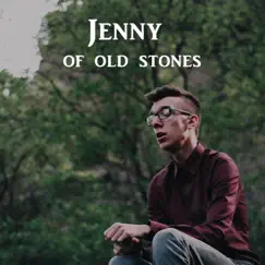 Jenny of Oldstones - Single by Tomi P album reviews, ratings, credits