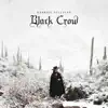 Black Crow album lyrics, reviews, download