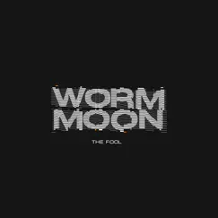 The Fool - Single by Worm Moon album reviews, ratings, credits