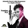 Freedom Pt. 2 (feat. Angela Johnson) [F&B Club Mix] song lyrics