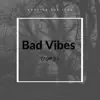 Bad Vibes (Top 5) - Single album lyrics, reviews, download