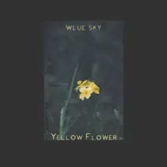 Yellow Flower (feat. yaeow) - Single by Wlue Sky album reviews, ratings, credits
