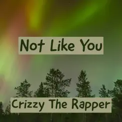 Not Like You - Single by Crizzy the Rapper album reviews, ratings, credits