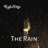 The Rain (feat. Platypusva) - Single album lyrics, reviews, download