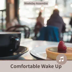 Comfortable Wake Up by Weekday Assemble album reviews, ratings, credits