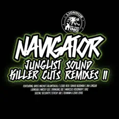 Kingston 11 (feat. Liondub & Bass Nacho) [2005 Jungle Mix] Song Lyrics