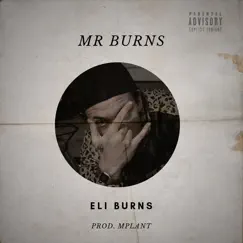 MR. Burns Song Lyrics