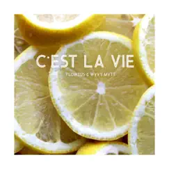 C'est la Vie Song Lyrics