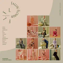 Maiochiruhanabira (Fallin' Flower) - Single by SEVENTEEN album reviews, ratings, credits