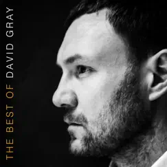 The Best of David Gray by David Gray album reviews, ratings, credits