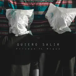 Quiero Salir - Single by Prismat album reviews, ratings, credits