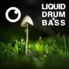 Liquid Drum & Bass Sessions 2020 Vol 30 album lyrics, reviews, download