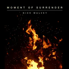 Moment of Surrender - Single by Nick Mulvey album reviews, ratings, credits