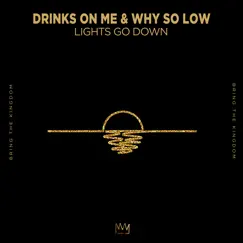 Lights Go Down - Single by Drinks On Me & Why So Low album reviews, ratings, credits