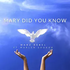 Mary Did You Know (feat. Marlen Shukur) Song Lyrics