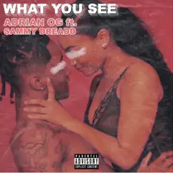 What You See (feat. Sammy Dreadd) - Single by Adrian OG album reviews, ratings, credits