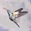 Hummingbird - Single album lyrics, reviews, download