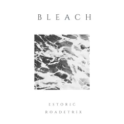Bleach - Single by Estoric & Roadetrix album reviews, ratings, credits