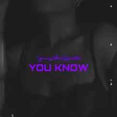 You Know (feat. Tyrillo) - Single by Yung Sai album reviews, ratings, credits