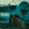 Sleeping Sounds - EP album lyrics, reviews, download